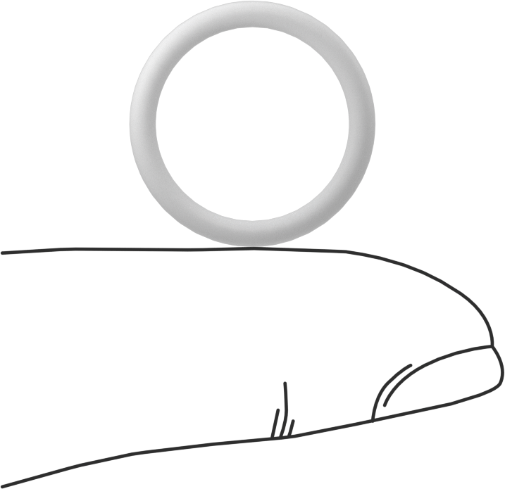 Ultra Kimyasala Dayanıklı Sert PTFE O-Ring, 2 mm Genişlik, 15 mm İç Çap