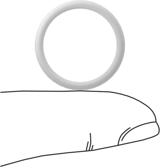 Ultra Kimyasala Dayanıklı Sert PTFE O-Ring, 2 mm Genişlik, 18 mm İç Çap