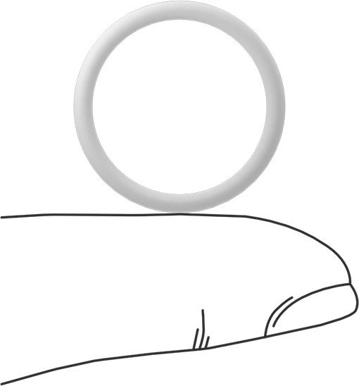 Ultra Kimyasala Dayanıklı Sert PTFE O-Ring, 2 mm Genişlik, 19 mm İç Çap