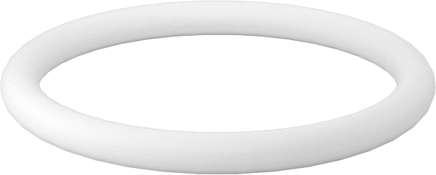 Ultra Kimyasala Dayanıklı Sert PTFE O-Ring, 2 mm Genişlik, 19 mm İç Çap