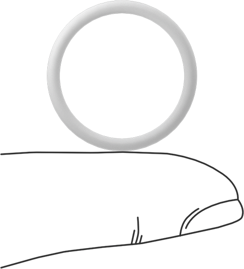 Ultra Kimyasala Dayanıklı Sert PTFE O-Ring, 2 mm Genişlik, 20 mm İç Çap