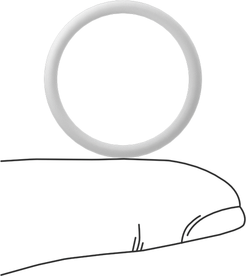 Ultra Kimyasala Dayanıklı Sert PTFE O-Ring, 2 mm Genişlik, 21 mm İç Çap