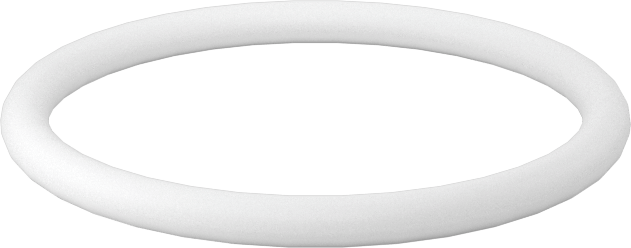Ultra Kimyasala Dayanıklı Sert PTFE O-Ring, 2 mm Genişlik, 23 mm İç Çap
