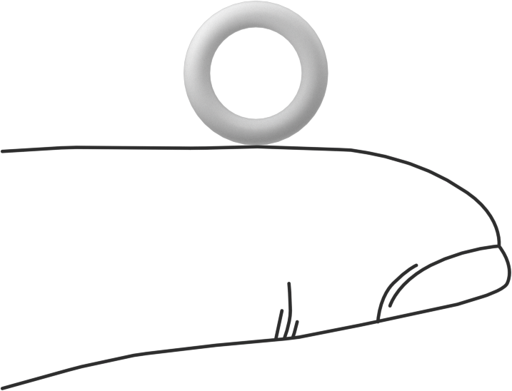 Ultra Kimyasala Dayanıklı Sert PTFE O-Ring, 2 mm Genişlik, 7 mm İç Çap