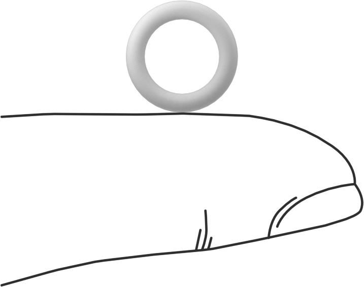 Ultra Kimyasala Dayanıklı Sert PTFE O-Ring, 2 mm Genişlik, 8 mm İç Çap