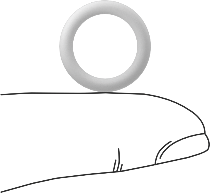 Ultra Kimyasala Dayanıklı Sert PTFE O-Ring, 2.5 mm Genişlik, 12 mm İç Çap