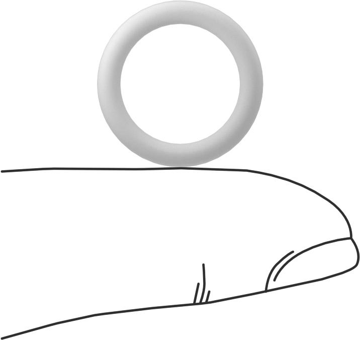 Ultra Kimyasala Dayanıklı Sert PTFE O-Ring, 2.5 mm Genişlik, 13 mm İç Çap