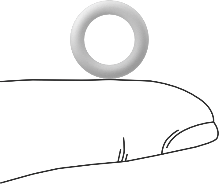 Ultra Kimyasala Dayanıklı Sert PTFE O-Ring, 2.5 mm Genişlik, 9 mm İç Çap