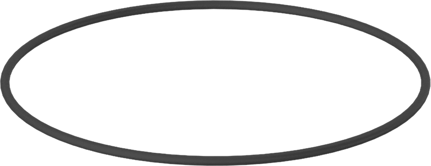 Kimyasala Dayanıklı Viton® Floroelastomer O-Ring, Mil-R-83248, 1/16 Kesirli Genişlik, Dash No. 042