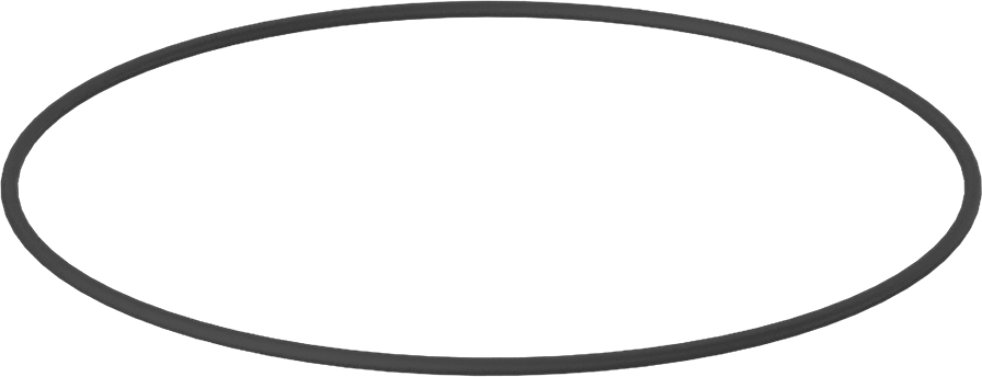 Kimyasala Dayanıklı Viton® Floroelastomer O-Ring, Mil-R-83248, 1/16 Kesirli Genişlik, Dash No. 045