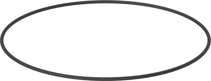 Kimyasala Dayanıklı Viton® Floroelastomer O-Ring, Mil-R-83248, 3/32 Kesirli Genişlik, Dash No. 165