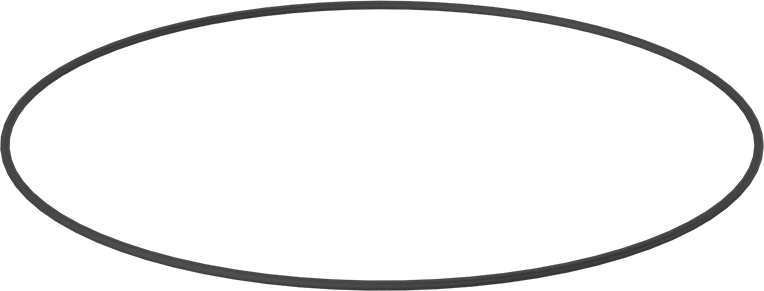 Kimyasala Dayanıklı Viton® Floroelastomer O-Ring, Mil-R-83248, 3/32 Kesirli Genişlik, Dash No. 173