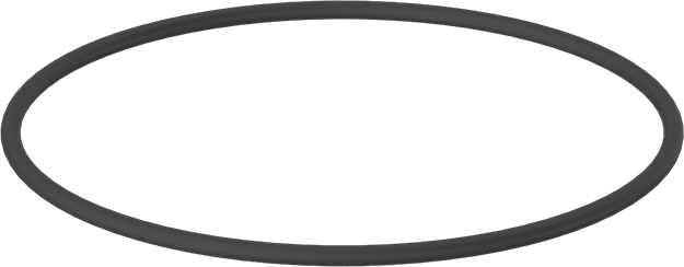Kimyasala Dayanıklı Viton® Floroelastomer O-Ring, Mil-R-83248, 1/8 Kesirli Genişlik, Dash No. 247