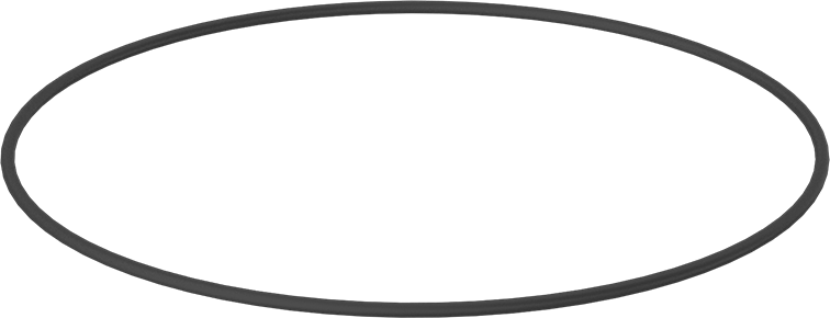 Kimyasala Dayanıklı Viton® Floroelastomer O-Ring, Mil-R-83248, 1/8 Kesirli Genişlik, Dash No. 267