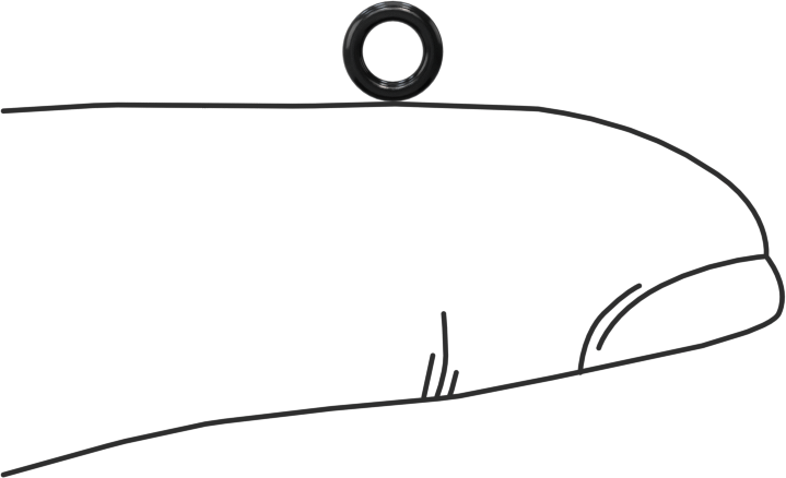 Yağa Dayanıklı Sert Buna-N O-Ring, 1 mm Genişlik, 3 mm İç Çap