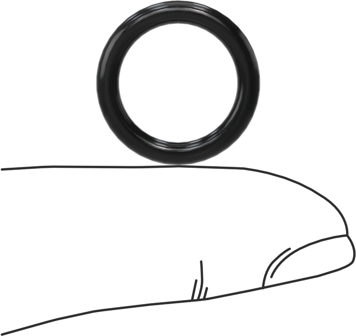 Yağa Dayanıklı Sert Buna-N O-Ring, 2.5 mm Genişlik, 13 mm İç Çap