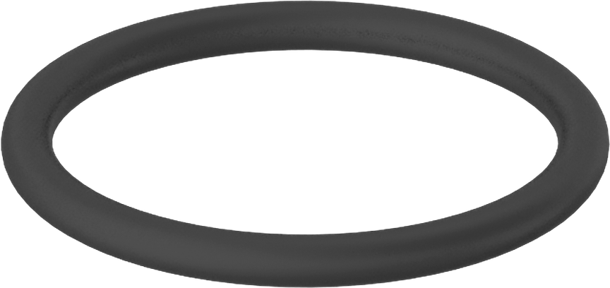 Ultra Kimyasala Dayanıklı DuPont Kalrez 4079 O-Ring, 2 mm Genişlik, 20 mm İç Çap