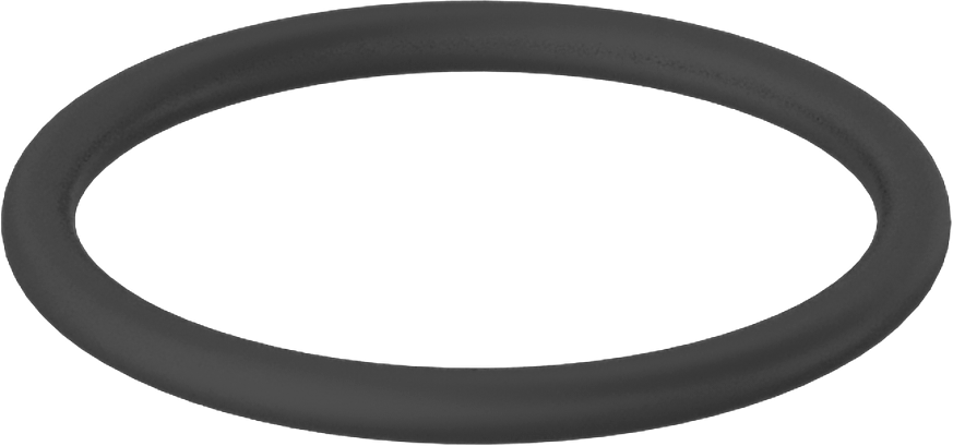 Ultra Kimyasala Dayanıklı DuPont Kalrez 4079 O-Ring, 2 mm Genişlik, 22 mm İç Çap