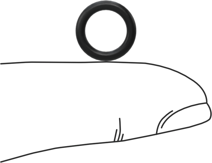 Süper Esnek DuPont Kalrez 7075 O-Ring, Ultra Kimyasala Dayanıklı, 1/16 Kesirli Genişlik, Dash 011