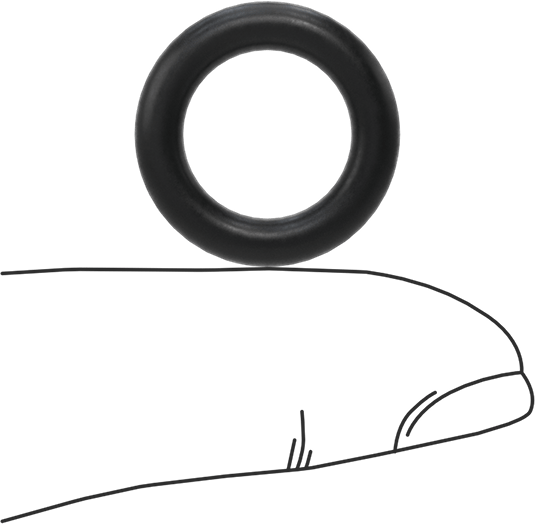 Süper Esnek DuPont Kalrez 7075 O-Ring, Ultra Kimyasala Dayanıklı, 1/8 Kesirli Genişlik, Dash No. 206