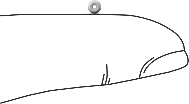 Yumuşak Viton® Floroelastomer O-Ring, FDA Uyumlu, 1/32 Kesirli Genişlik, Dash No. 001