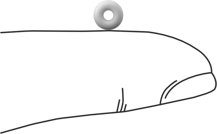 Yumuşak Viton® Floroelastomer O-Ring, FDA Uyumlu, 1/16 Kesirli Genişlik, Dash No. 004