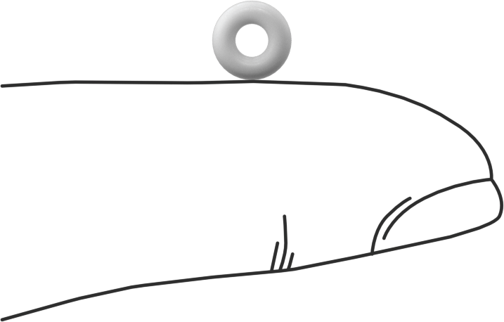 Yumuşak Viton® Floroelastomer O-Ring, FDA Uyumlu, 1/16 Kesirli Genişlik, Dash No. 005