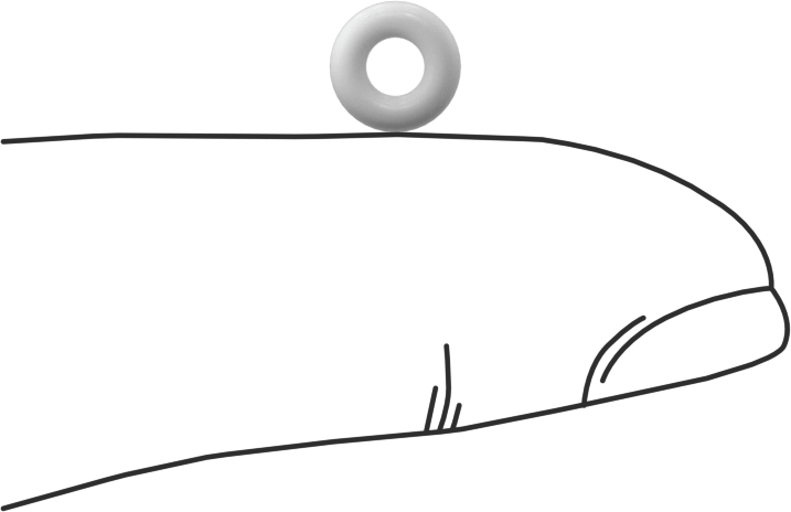 Yumuşak Viton® Floroelastomer O-Ring, FDA Uyumlu, 1/16 Kesirli Genişlik, Dash No. 006