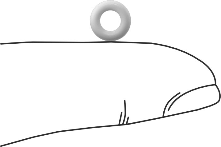 Yumuşak Viton® Floroelastomer O-Ring, FDA Uyumlu, 1/16 Kesirli Genişlik, Dash No. 007