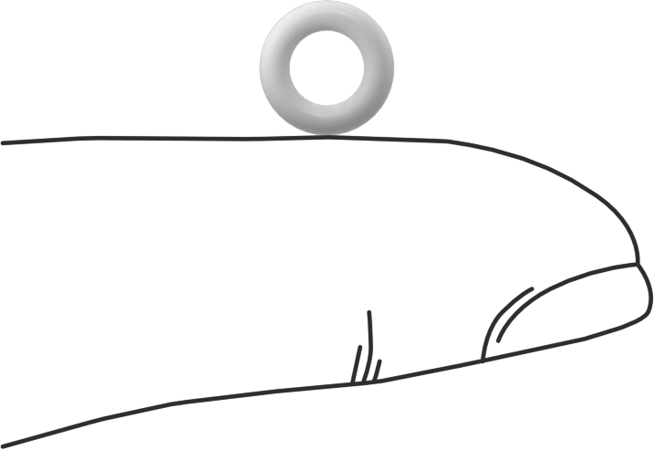 Yumuşak Viton® Floroelastomer O-Ring, FDA Uyumlu, 1/16 Kesirli Genişlik, Dash No. 008