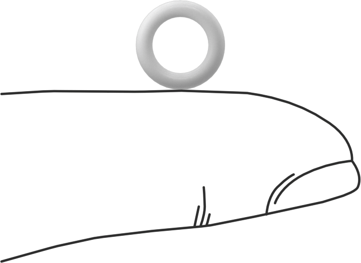 Yumuşak Viton® Floroelastomer O-Ring, FDA Uyumlu, 1/16 Kesirli Genişlik, Dash No. 010