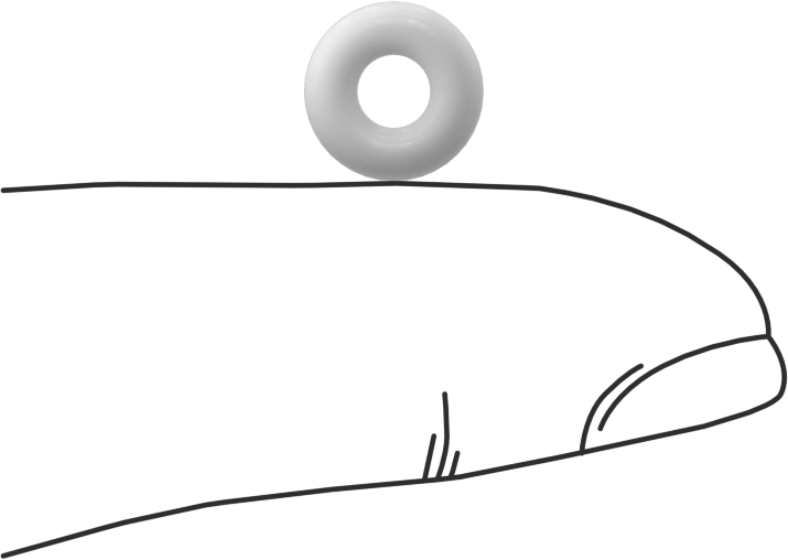 Yumuşak Viton® Floroelastomer O-Ring, FDA Uyumlu, 3/32 Kesirli Genişlik, Dash No. 105