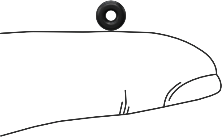 Ultra Kimyasala Dayanıklı DuPont Kalrez 6230 O-Rings, Yüksek Saflıkta, 1/16 Kesirli Genişlik, Dash Numarası 004