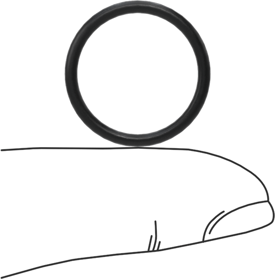 Ultra Kimyasala Dayanıklı DuPont Kalrez 6230 O-Rings, Yüksek Saflıkta, 1/16 Kesirli Genişlik, Dash Numarası 017