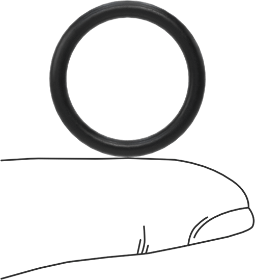 Ultra Kimyasala Dayanıklı DuPont Kalrez 6230 O-Rings, Yüksek Saflıkta, 3/32 Kesirli Genişlik, Dash Numarası 116