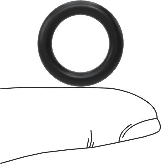 Ultra Kimyasala Dayanıklı DuPont Kalrez 6230 O-Rings, Yüksek Saflıkta, 1/8 Kesirli Genişlik, Dash Numarası 207