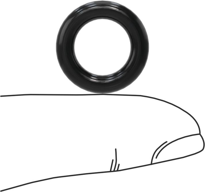 Kimyasala Dayanıklı Viton® Floroelastomer O-Ring, Süper Esnek, 1/8 Kesirli Genişlik, Dash No. 205