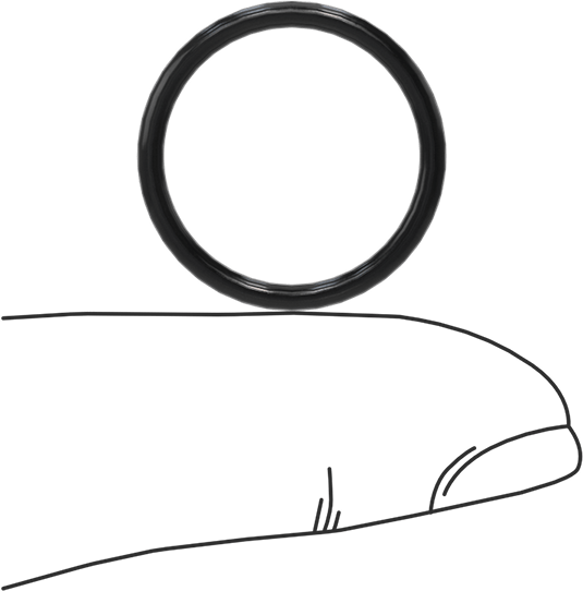 Kimyasala Dayanıklı Viton® Floroelastomer O-Ring, Süper Esnek, 1/16 Kesirli Genişlik, Dash No. 017