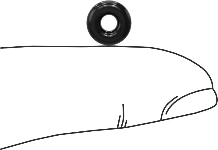 Kimyasala Dayanıklı Viton® Floroelastomer O-Ring, Süper Esnek, 3/32 Kesirli Genişlik, Dash No. 104