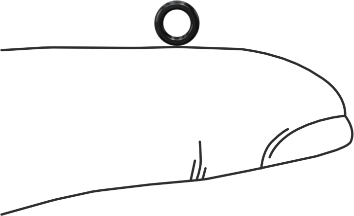 Suya ve Buhara Dayanıklı EPDM O-Ring, 1 mm Genişlik, 3 mm İç Çap