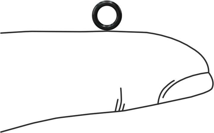 Suya ve Buhara Dayanıklı EPDM O-Ring, 1 mm Genişlik, 3.5 mm İç Çap