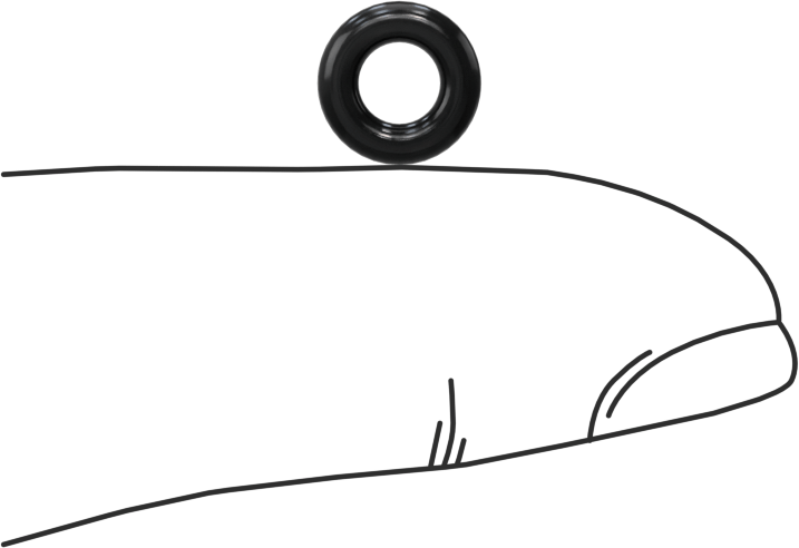 Suya ve Buhara Dayanıklı EPDM O-Ring, 2 mm Genişlik, 4 mm İç Çap