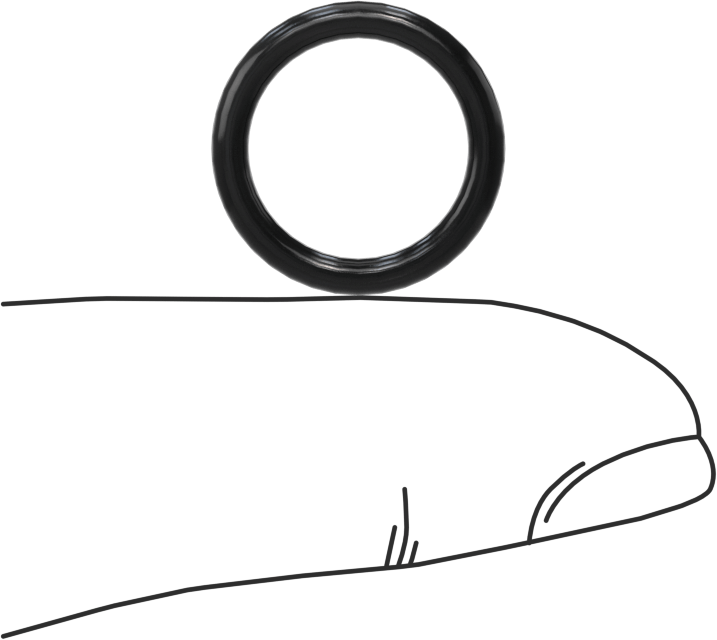 Suya ve Buhara Dayanıklı EPDM O-Ring, 2 mm Genişlik, 12 mm İç Çap