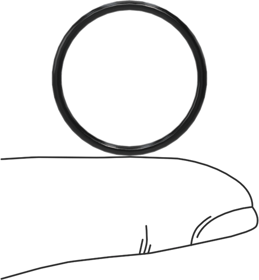 Yağa Dayanıklı Buna-N O-Ring, 1.5 mm Genişlik, 20.5 mm İç Çap