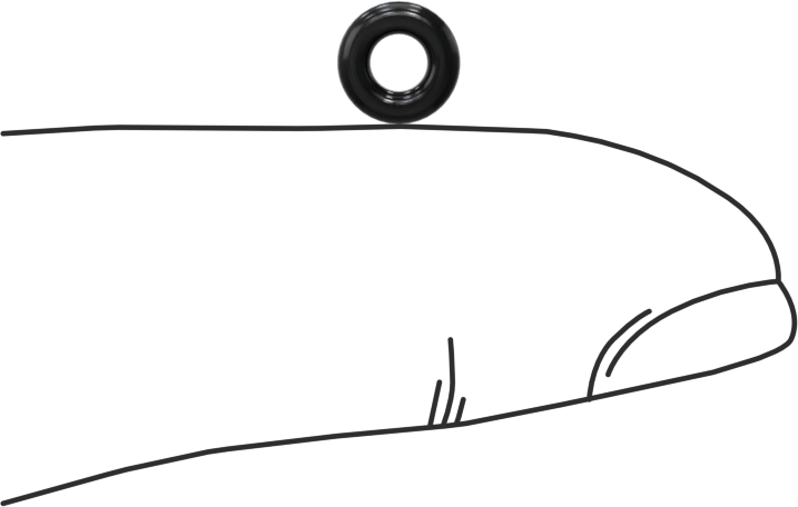 Yağa Dayanıklı Buna-N O-Ring, 1.6 mm Genişlik, 2.8 mm İç Çap