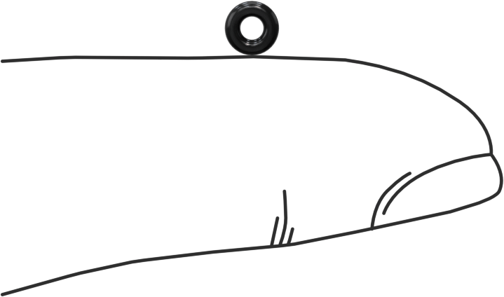 Yağa Dayanıklı Buna-N O-Ring, 1.2 mm Genişlik, 1.8 mm İç Çap