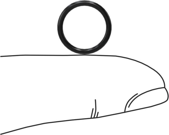 Yağa Dayanıklı Buna-N O-Ring, 1.3 mm Genişlik, 10 mm İç Çap