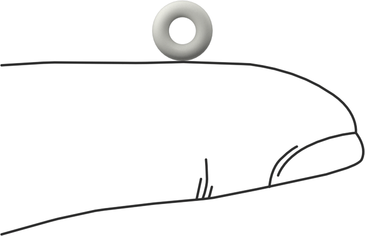 Yağa Dayanıklı Temiz Oda Buna-N O-Rings, 1/16 Kesirli Genişlik, Dash Numarası 006