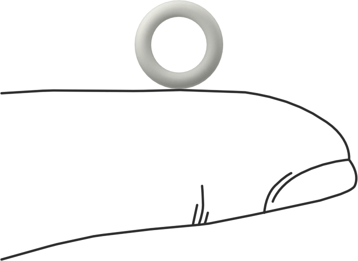 Yağa Dayanıklı Temiz Oda Buna-N O-Rings, 1/16 Kesirli Genişlik, Dash Numarası 010