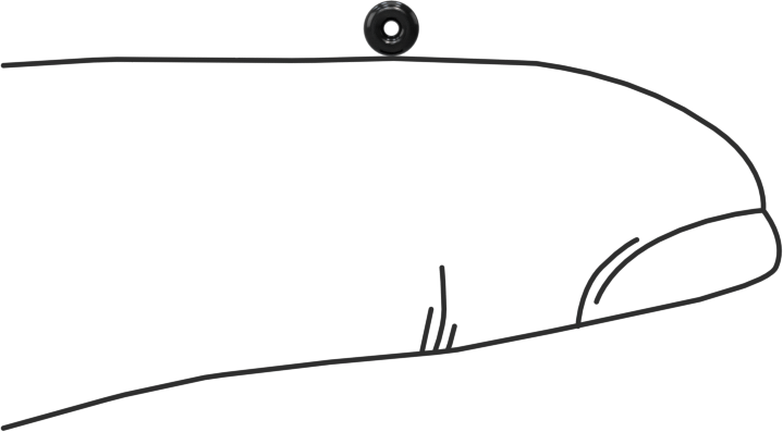 Temiz Oda Viton® Floroelastomer O-Rings, Kimyasala Dayanıklı, 1/32 Kesirli Genişlik, Dash Numarası 001